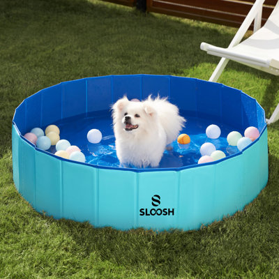 Bassin pliable pour chien