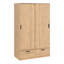 Lashuna 2 Door Manufactured Wood Wardrobe-1573584603