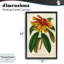 Cadre flottant orange rhododendron jaune, design par Print Collection-596952768-596952769