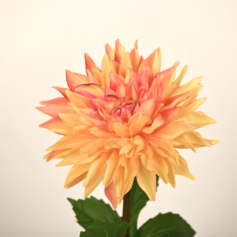 Arrangement floral 28 po Dahlia, Orange