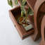 155cm H x 155cm W Solid Wood Bookcase