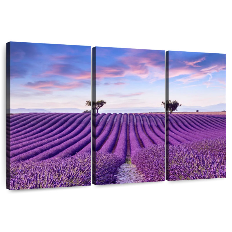 Alvord Valensole champs de lavande, H 42 po x l 65 po