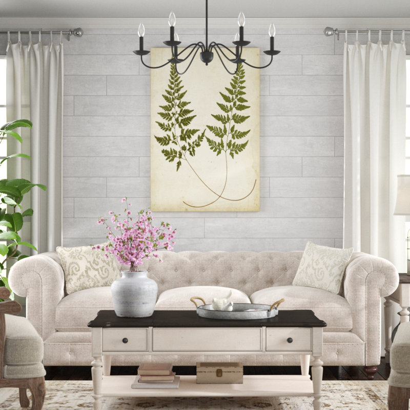 Fern Portfolio I by Francis G. Heath - Painting Print, 122cm H x 81cm W, Black Floater Frame
