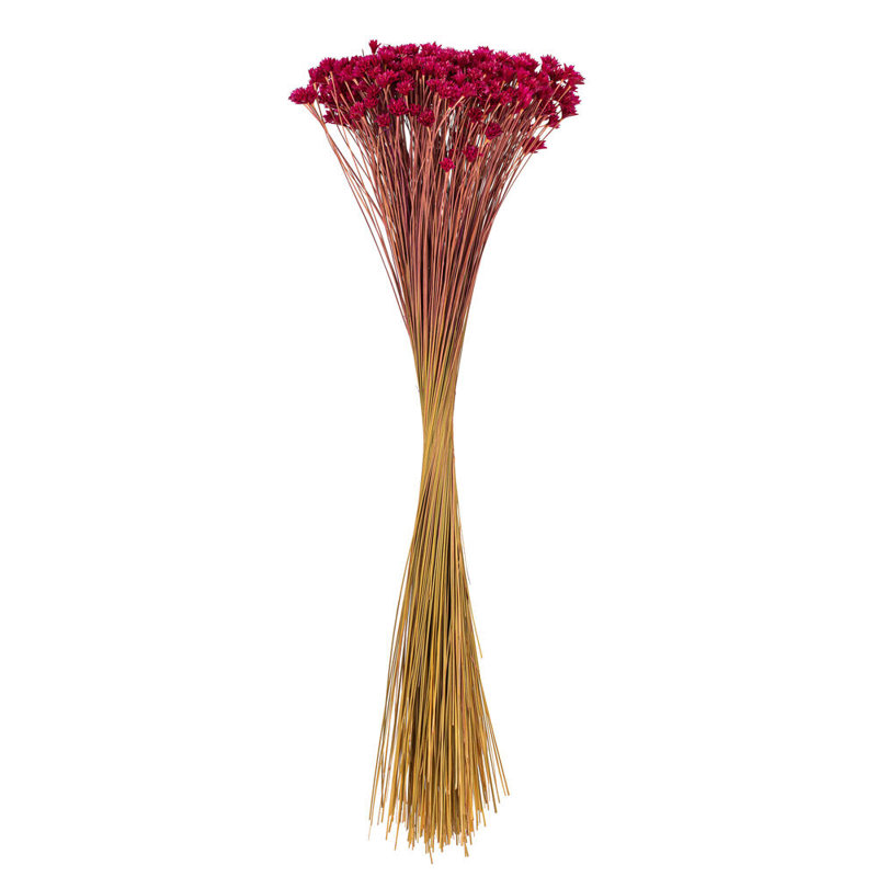 Bouquet de 14 po Hil Natural, Rose