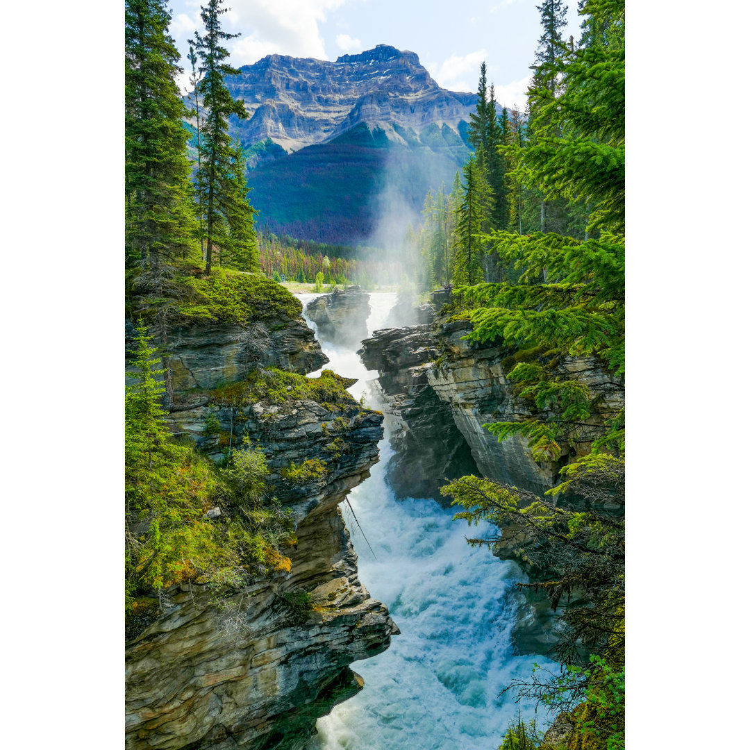 Athabasca Falls Gorge von Yuin Lu Hoo - Wrapped Canvas Set