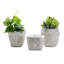 White Washed Set Of 3 Basket Pattern Planter
