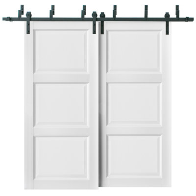 Barn Bypass Doors with 6.6ft Hardware Lucia 2661 White Silk Sturdy Heavy Duty Rails Kit Steel Set Double Sliding Kitchen Pantry Shaker Panel Door 56 x 80