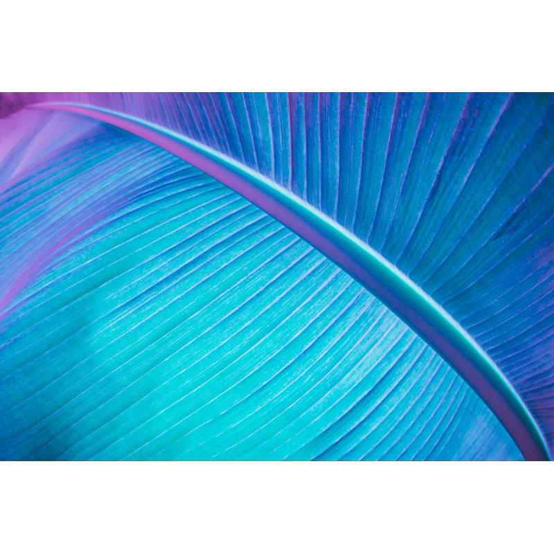Argiro Abstract Neon Coloured Plant by Aleksandra Golubtsova - Wrapped Canvas Print, 30cm H x 46cm W x 3.8cm D