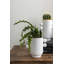 Albin Handmade Ceramic Planter-73058424