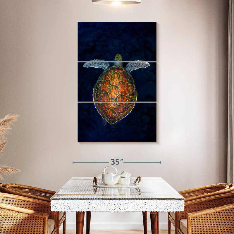 Turtle In The Abyss
