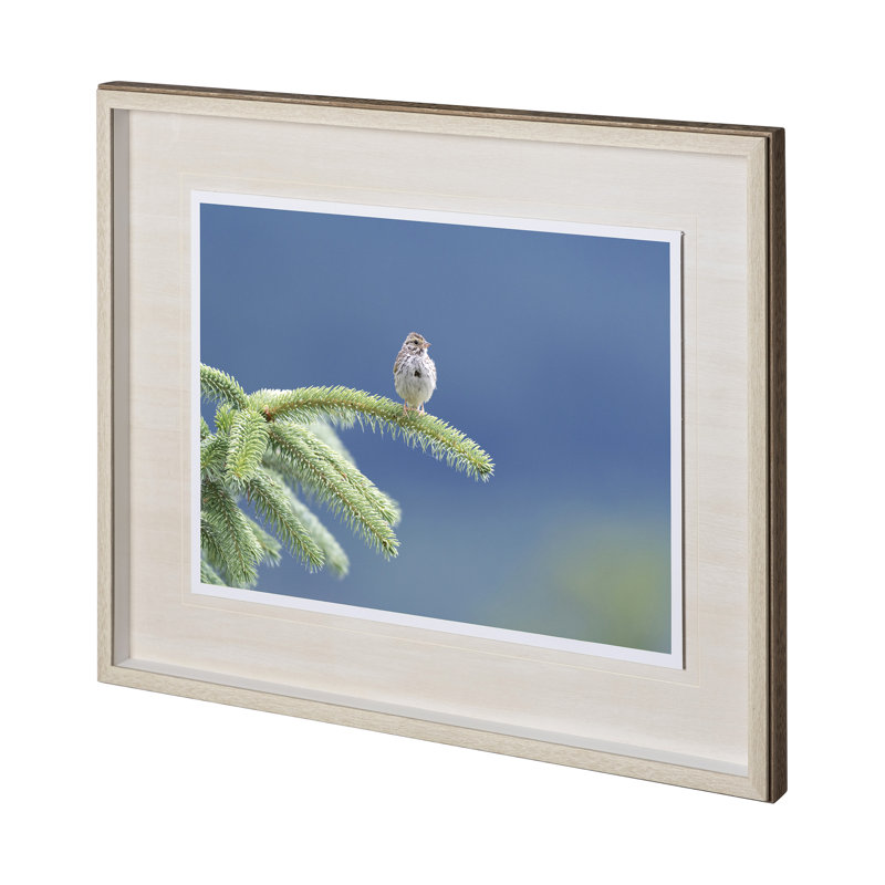 untitled by Nancy Crowell a Framed Art Print Matted under Glass