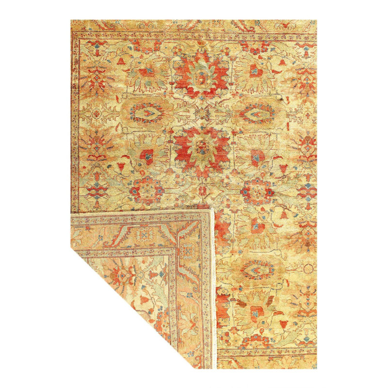 Oriental Area Rug in Beige