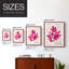 Matisse CLX III, reproduction encadrée - bois massif-653639473-653639487