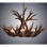 8 - Light Chandelier