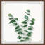 Eucalyptus Bundle - Single Picture Frame Painting-57395586