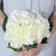 Hortensia Laidley-884635534