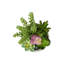 Artificial Plant