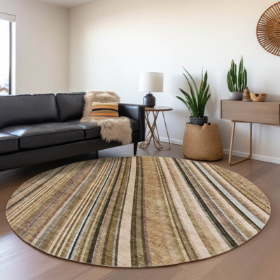 Chayden Washable Striped Indoor / Outdoor Rug