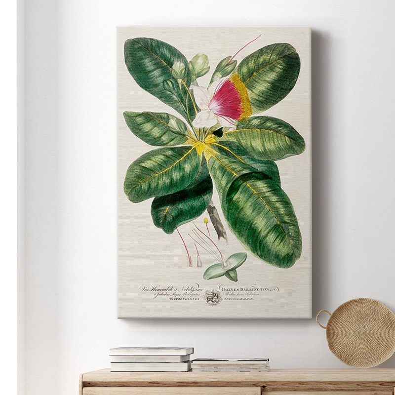 Peinture botanique impériale tropicale I sur toile, H 18 po x l 12 po x P 1 po