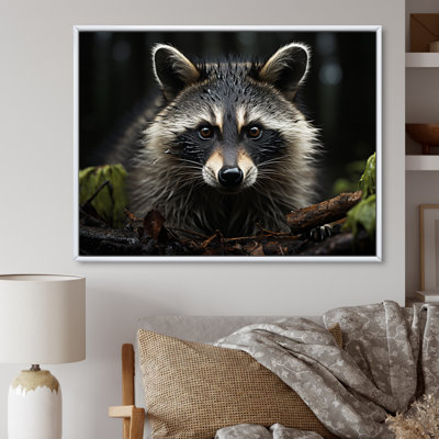 Curious Raccoon II sur impression sur toile