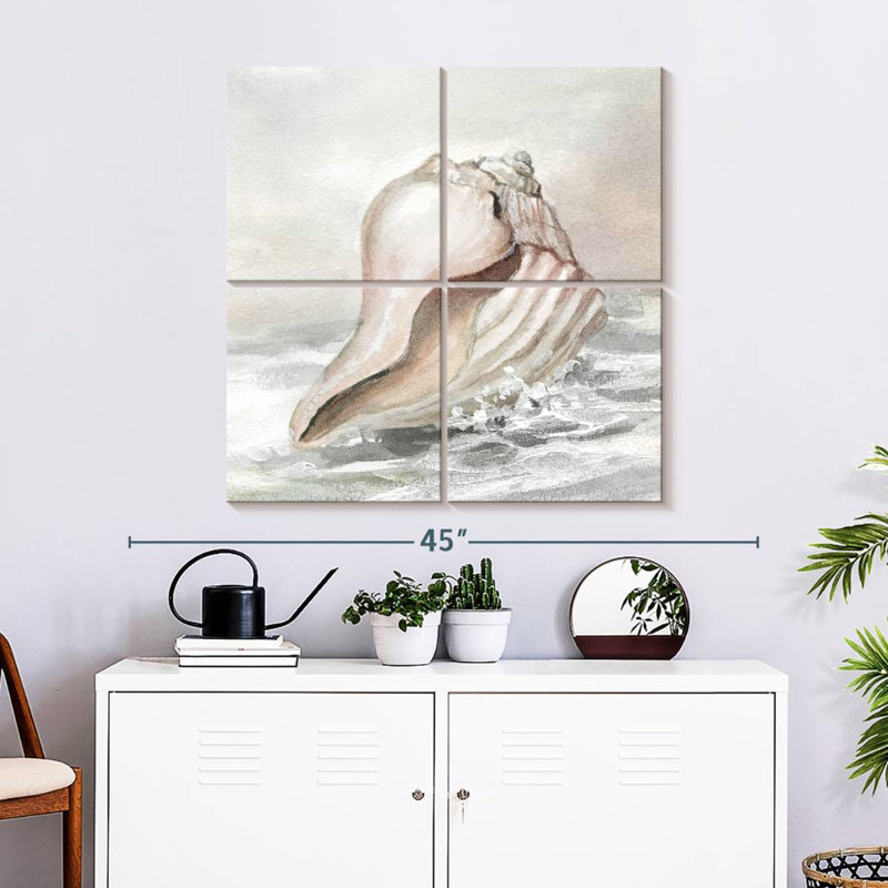 Aletra Shell Washed Ashore II