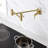 Contemporary 2-Handle Wall-Mounted Pot Filler-69785320