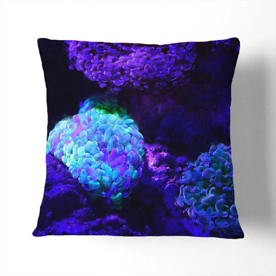 Square Cushion