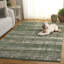 Area Rug-281896148