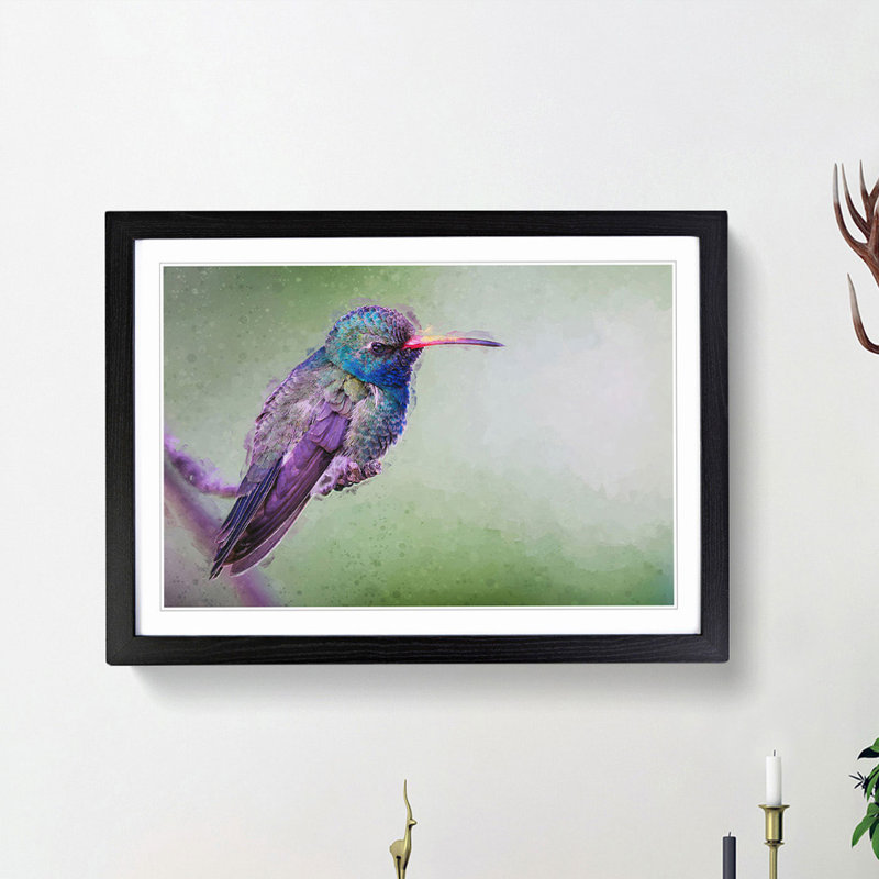 Broad-Billed Hummingbird in Abstract - Picture Frame Graphic Art Print, 36cm H x 48cm W x 2cm D, Black Framed