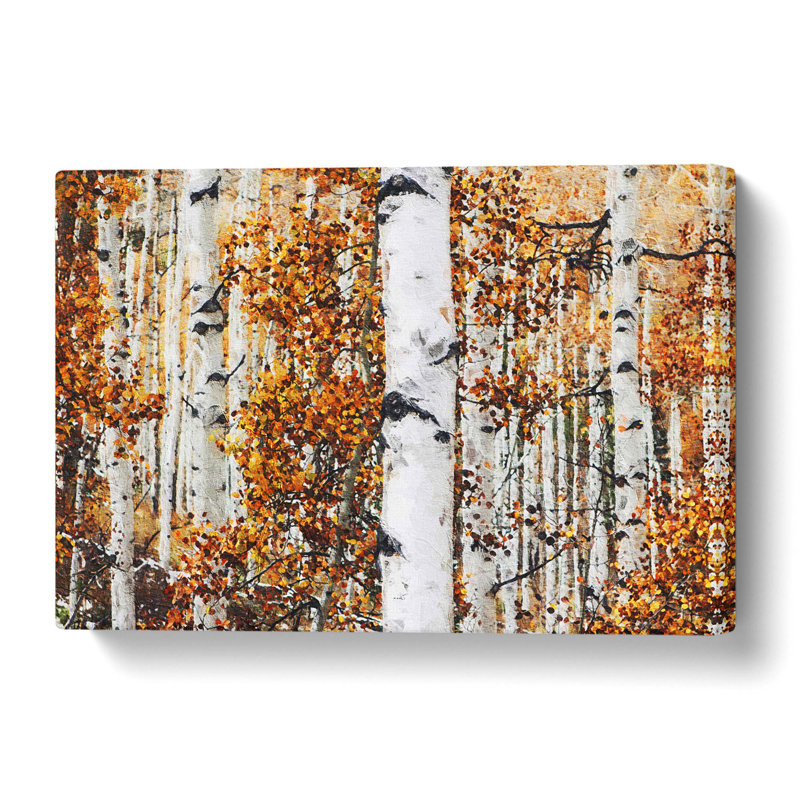 'Birch Trees in Autumn' - Wrapped Canvas, 50 cm H x 76 cm W