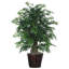 Arbre artificiel en pot aralia naturel ming