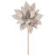 Tiges de poinsettia Clementina-1700957684