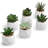 Jarema 4'' Faux Succulent Plant in Ceramic Pot