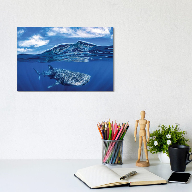 Whale Shark Over Under by Jordan Robins - Wrapped Canvas Print, 20.32 cm H x 30.48 cm W