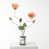 Corail est en rupture de stock