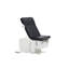 Table haute Pointe Pointe 450 lb avec inclinaison pelvienne et étriers Pointe Power-106800522