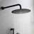 Matte Black Shower With Brass Valve Trim And Options In Sprays-121169458