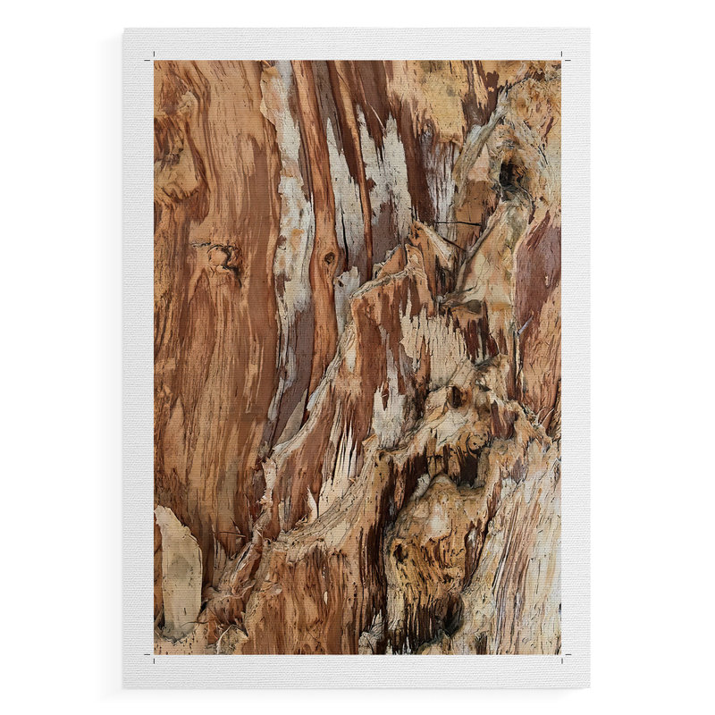 Tree Texture Triptych I - Impression sur toile seulement - NON-CADRE, H 18 po x l 12 po