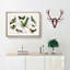 Collection of Hummingbirds XXV by Oliver Goldsmith - Picture Frame Painting-57864641-57864644