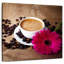 Cappuccino Arney-109221465