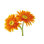 " Gerbera " by Lujing