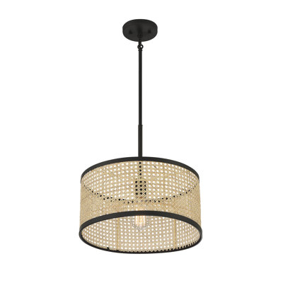 Drax 1 - Light Single Drum Pendant