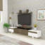 TV Stand and Entertainment Center Ashley