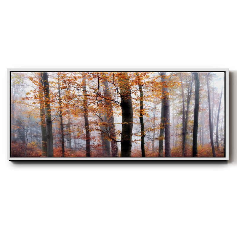 Lost in the Forest- Framed Canvas, 12" H x 30" W