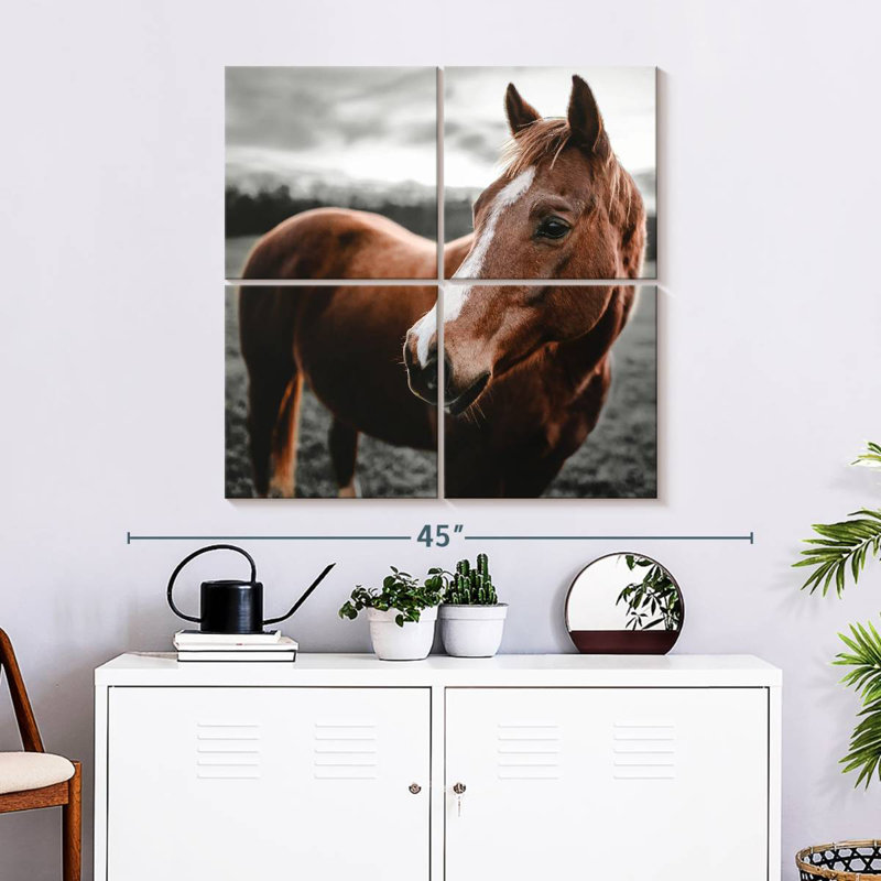 Brampt Shining Horse