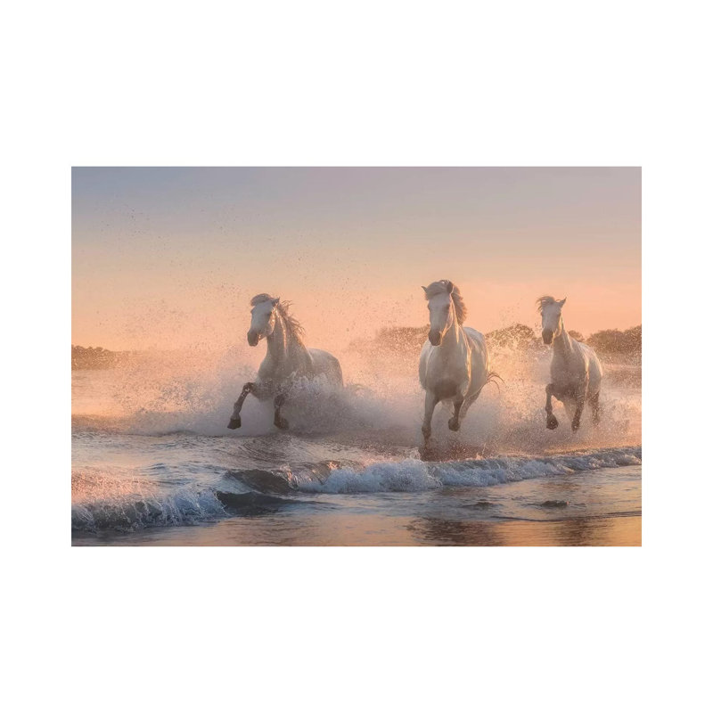 White Angels Of Camargue VI by Daniel Kordan - Print on Canvas, Wrapped Canvas, 20.32 cm H x 30.48 cm W