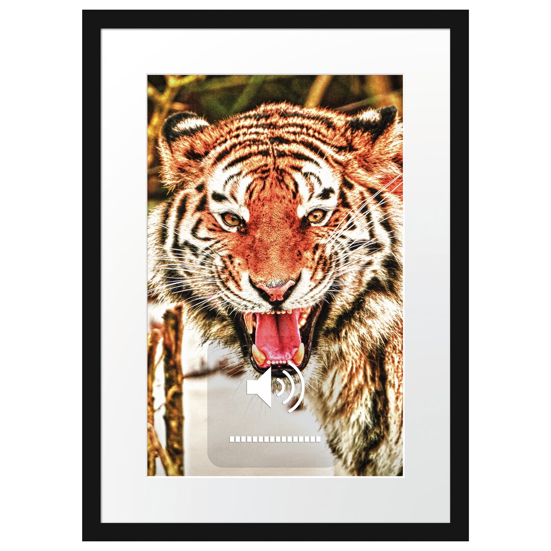 Gerahmtes Poster Tiger-Scream