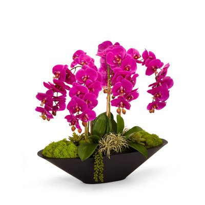 Orchid Floral Arrangement in Metal Planter
