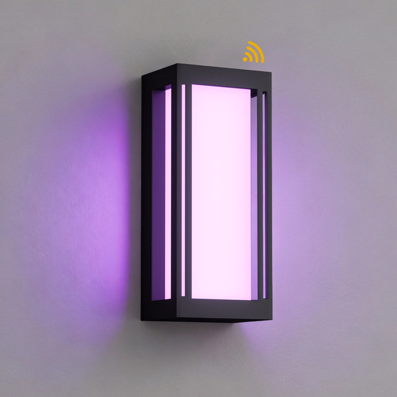 14.5''H RGB LED Dimmable APP Control Aluminum Outdoor Wall Light with Dusk to Dawn and Milky White Acrylic Shade