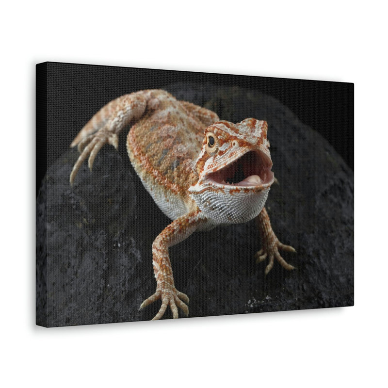 No Frame Print on Canvas, 27.94cm H x 35.56cm W
